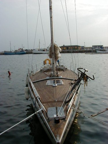 Ansa 42