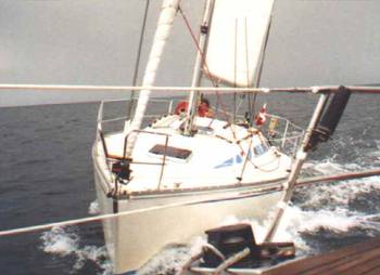 Elan 31