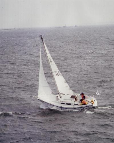 Finn 26