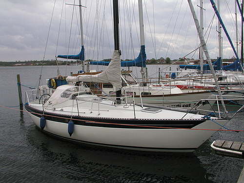 Kings Cruiser 33