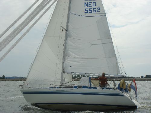 Finngulf 31