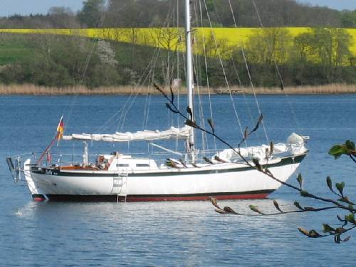 Saltram 40