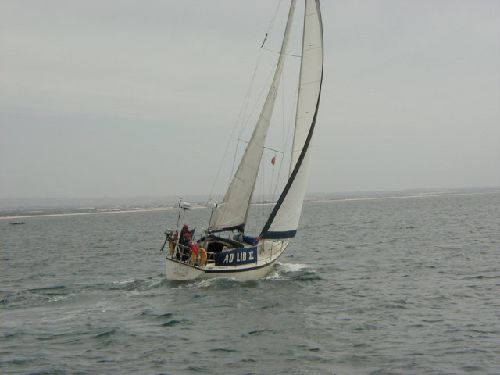 Granada 31