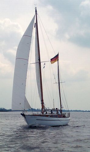 Great Dane 35