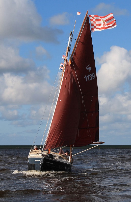 Cornish Shrimper