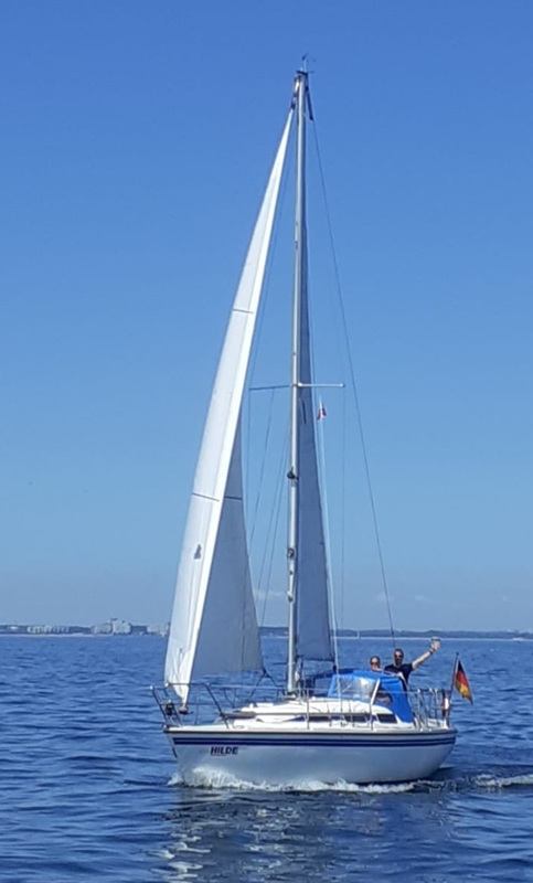 Johnson 26