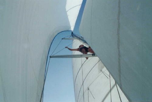 Artistic photo