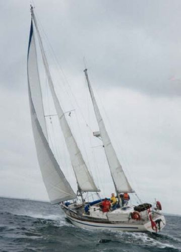 Rorqual 44