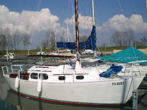 Wibo 730