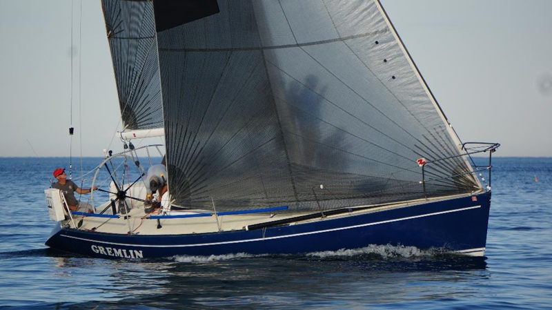 Tripp 36