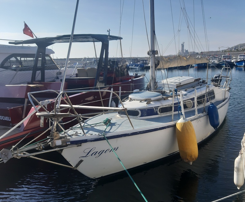 Condor 7