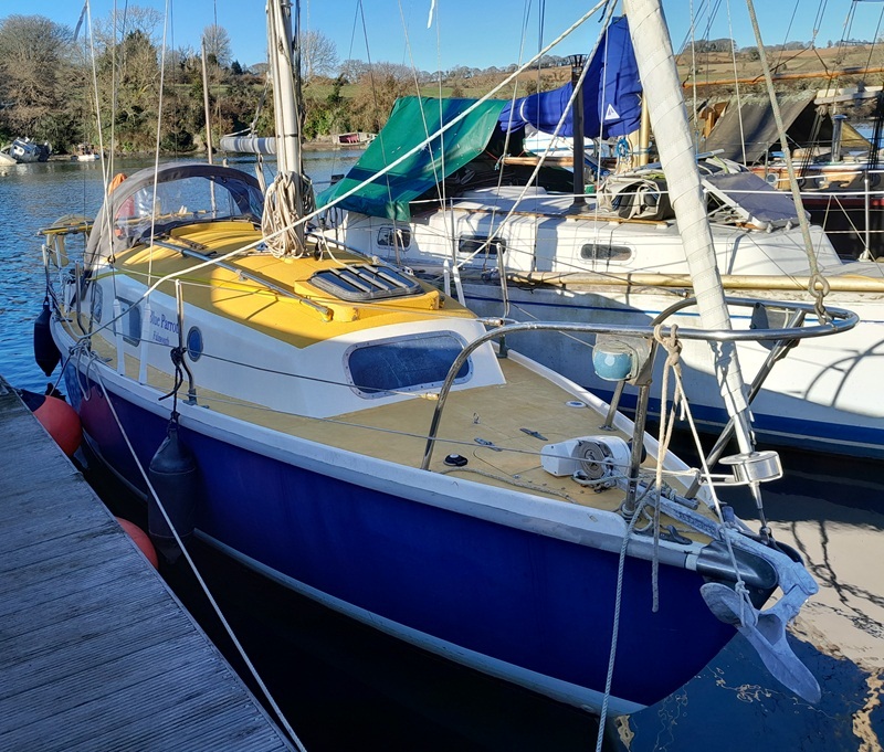 Kingfisher 26