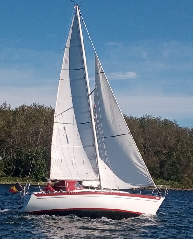 Rig
