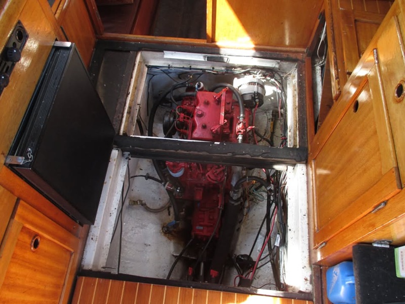 Motor